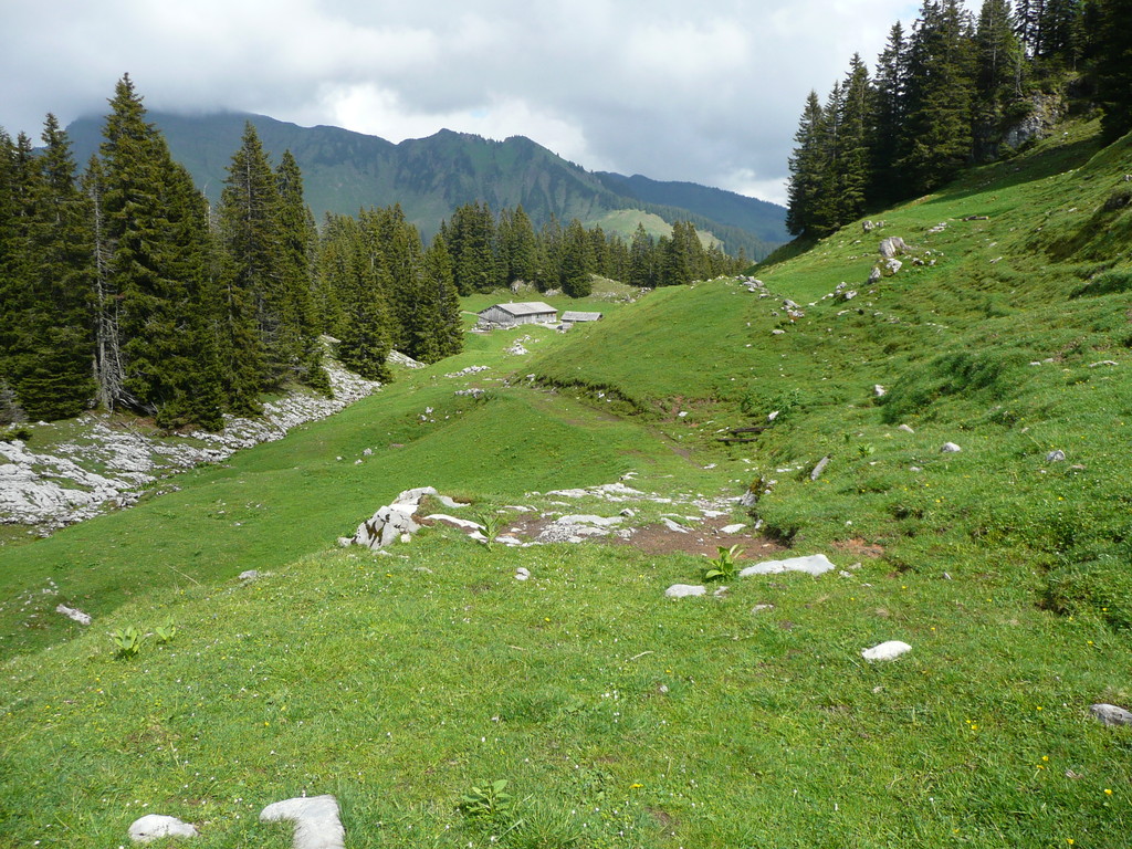 Begrünte Wanne mit Sattelalpe
