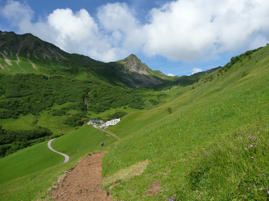 Blick zur Staffelalpe mit Glatthorn im Hintergrund
