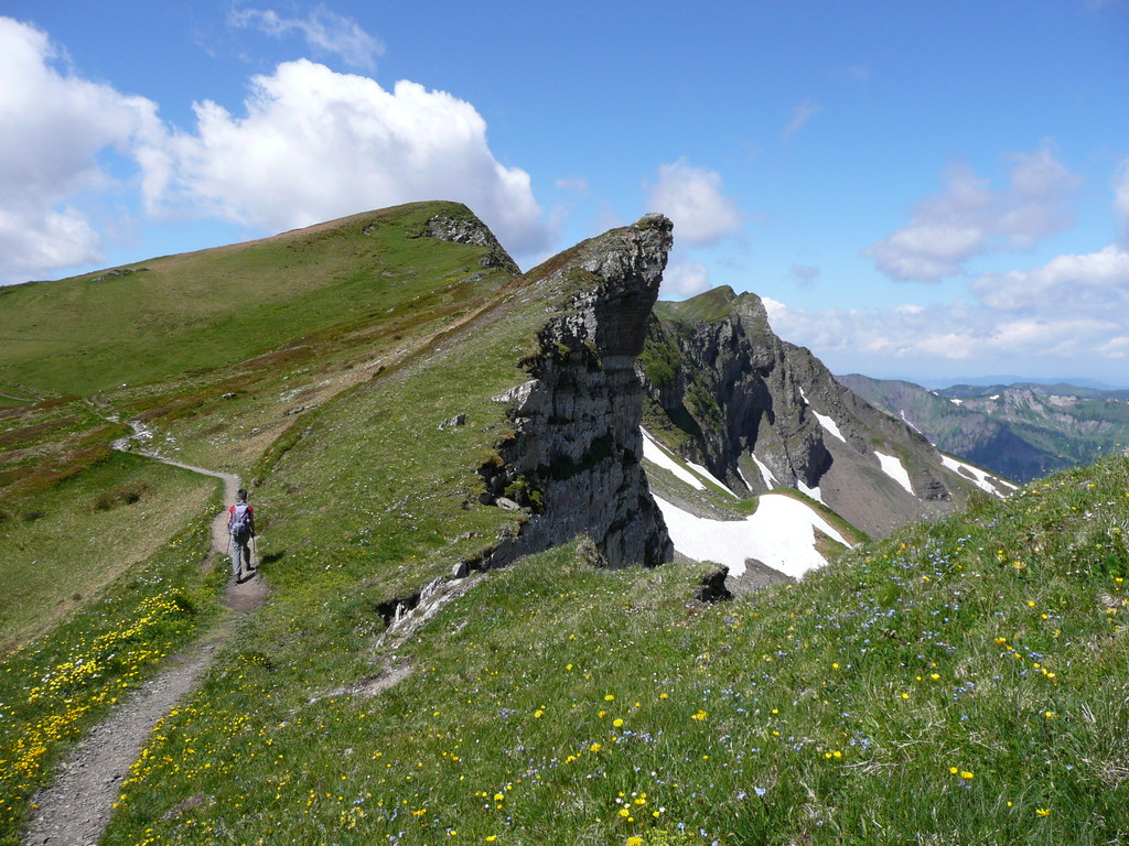 Felsnase  am Weg zur Sünser Spitze