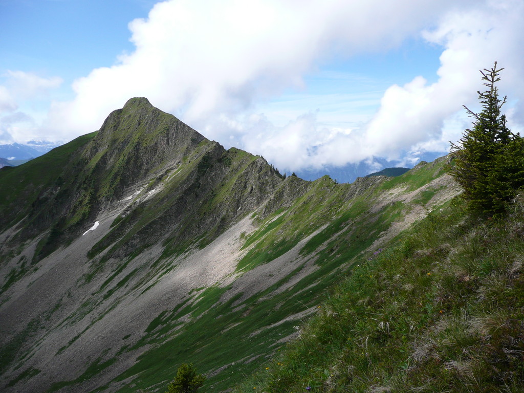 Das Türtschhorn mit Verbindungsgrat zum Glatthorn