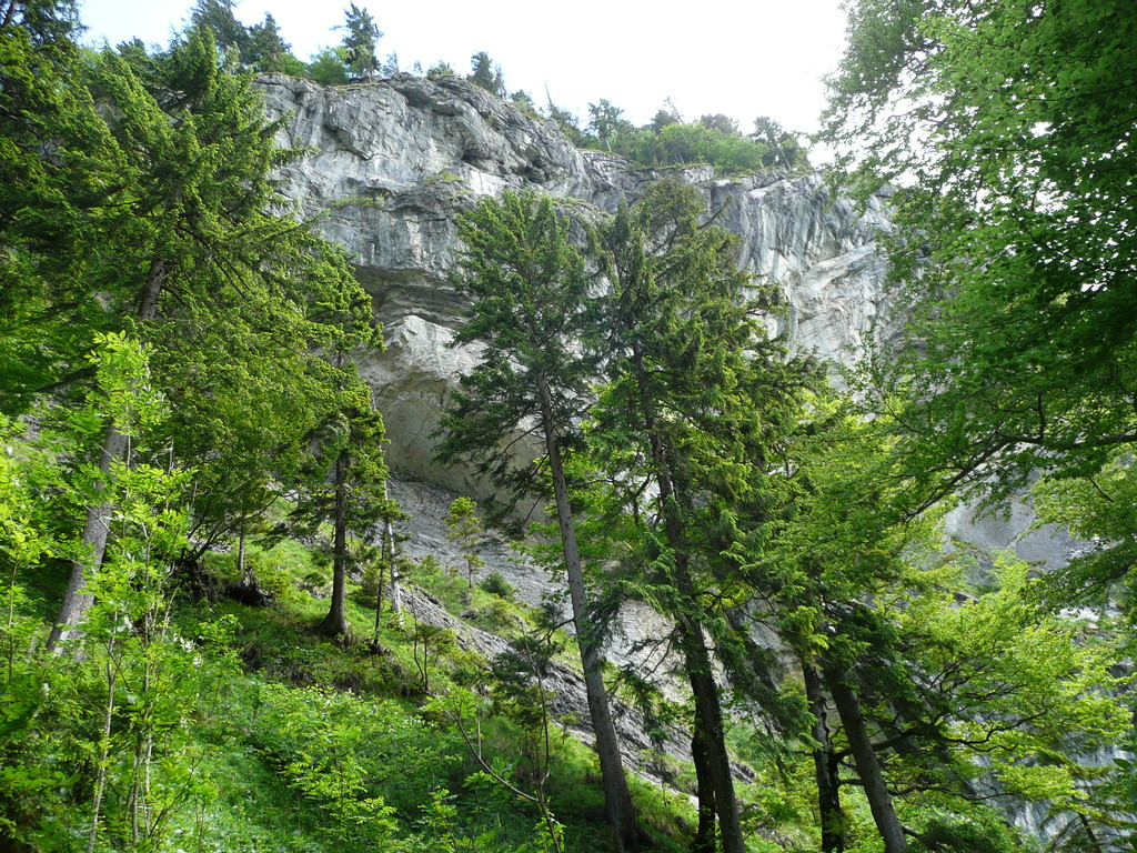 Aufstieg unterhalb einer steilen Wand