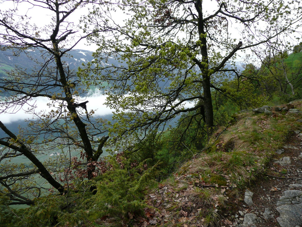 Am Sonnenberger Höhenweg