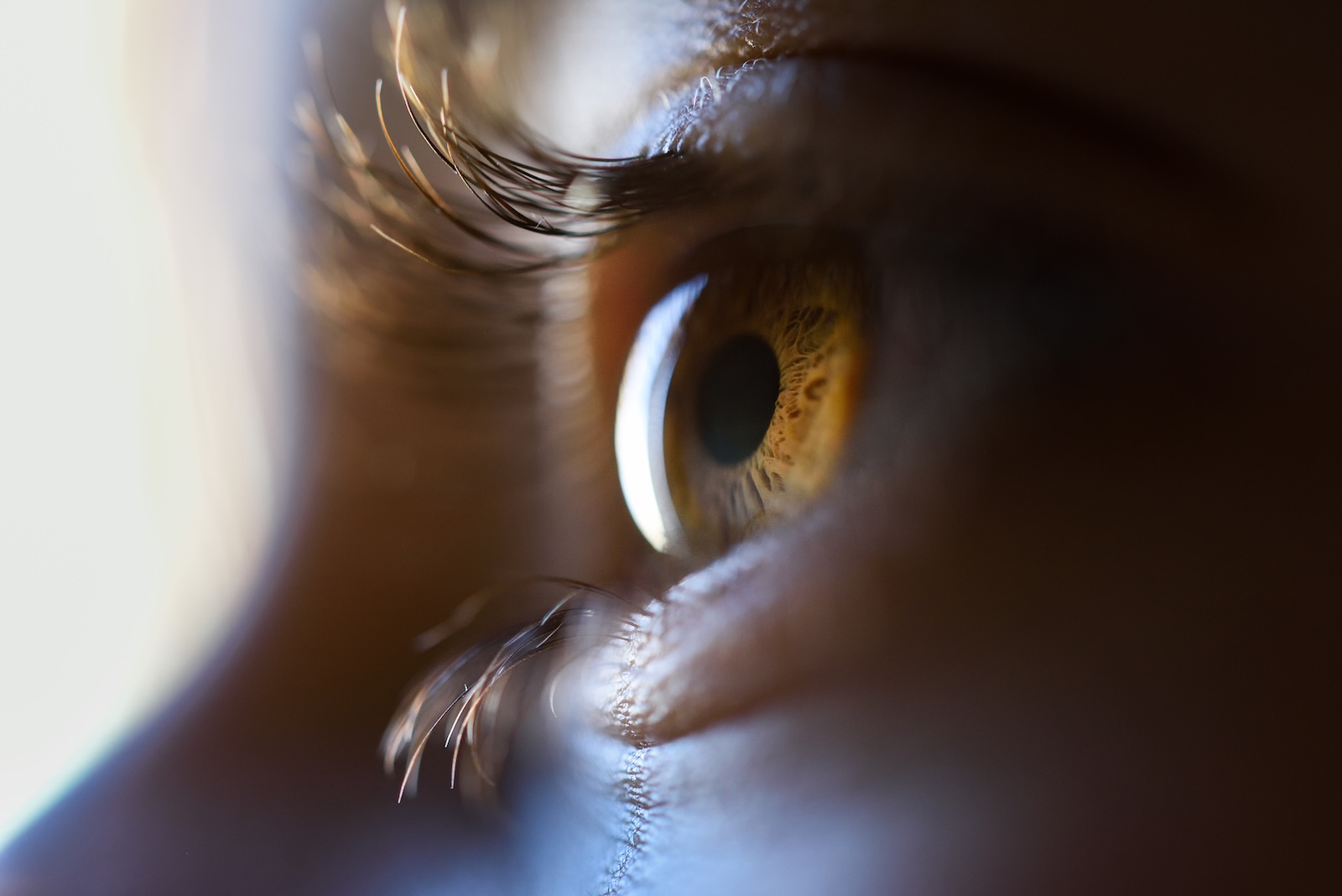 Wat is EMDR?