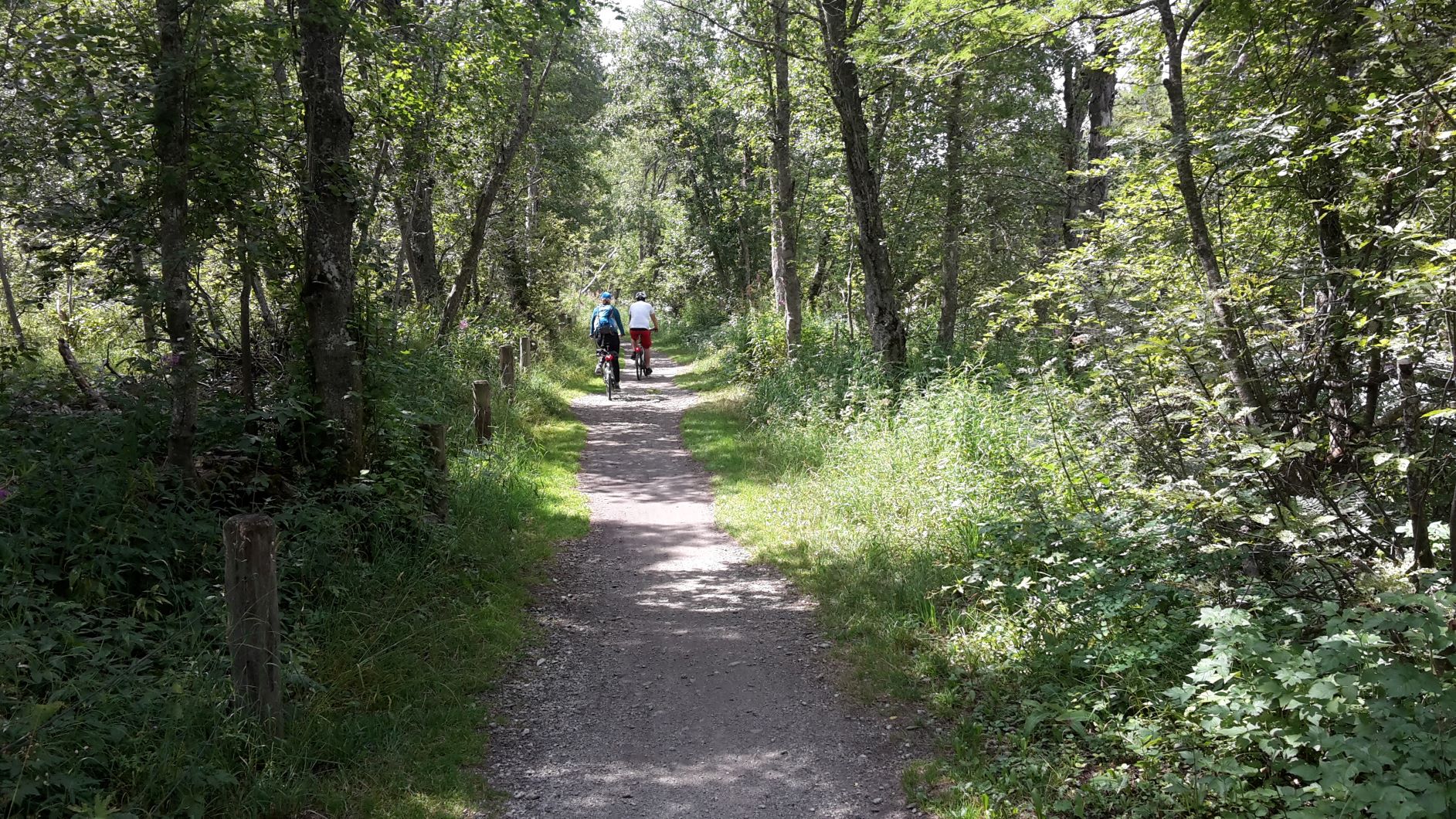 Radweg Goms, Urlichen