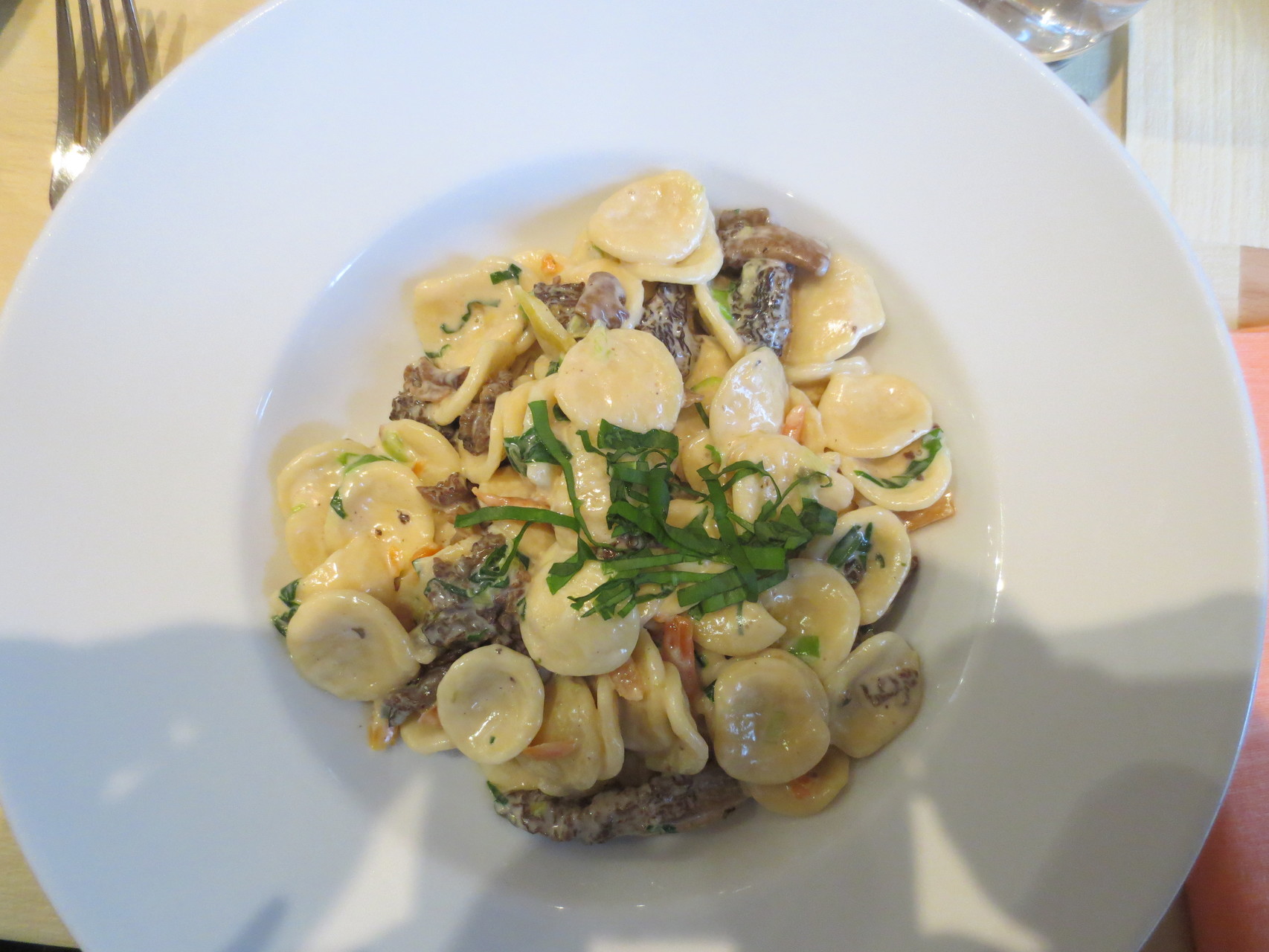 Menu VDSV-Business-Lunch: Orecchiette Frühlingsmorcheln (Teigwaren-Gericht mit gedünsteten Morcheln, Egerkinger Bärlauch, Frühlingszwiebeln und Karottenstreifen)