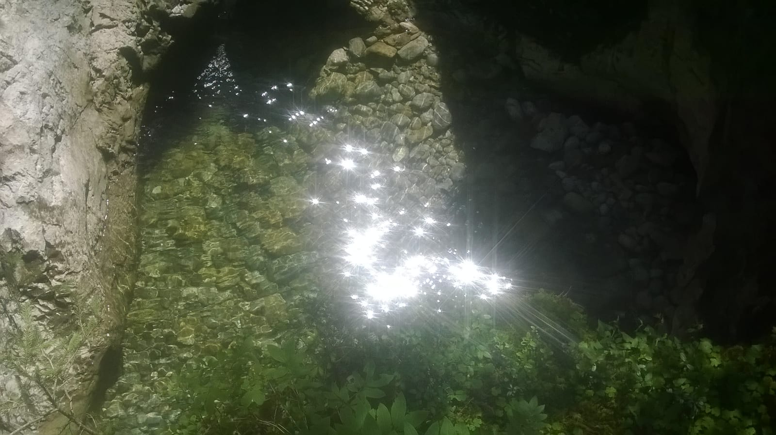 Vom Licht ins Dunkle