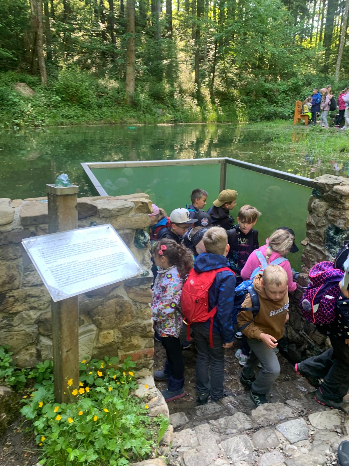 15 - Wasser ist DAS Element