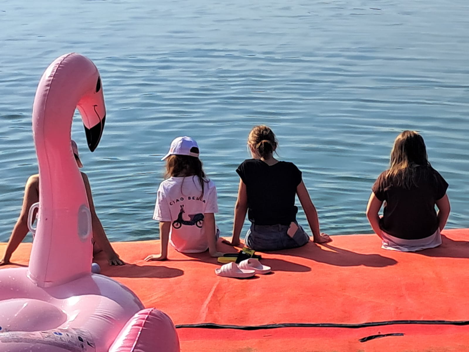 18 - 4 Schwäne am Wallersee