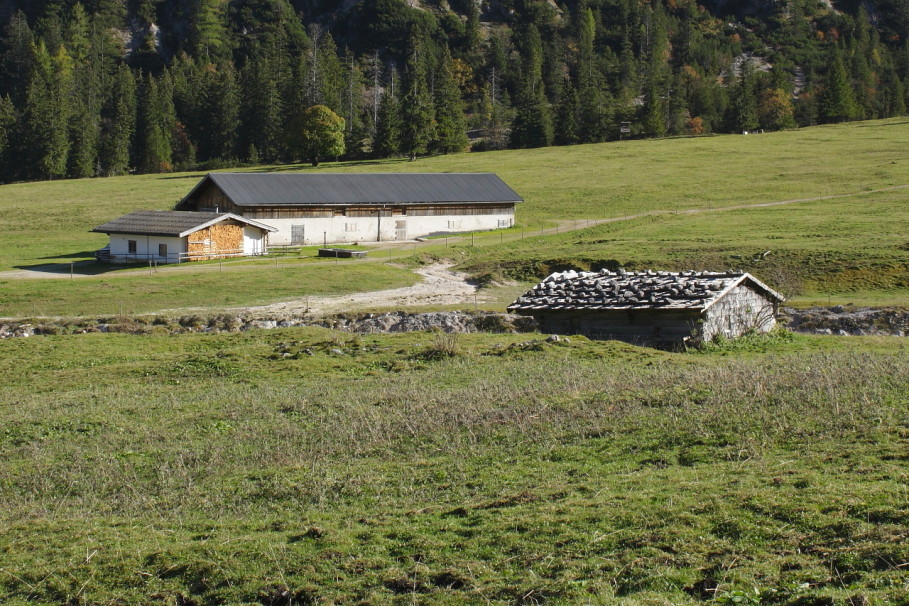 Rohntalalm