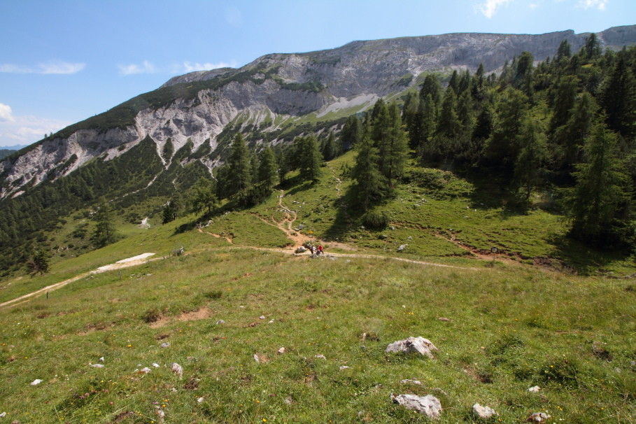 Die Nordseite des Stanser Jochs am Weißenbachsattel ist ein typisches Jagdgebiet des Steinadlers. Hier finden sich Gämsen, Steinböcke, Schneehasen, Schneehühner...