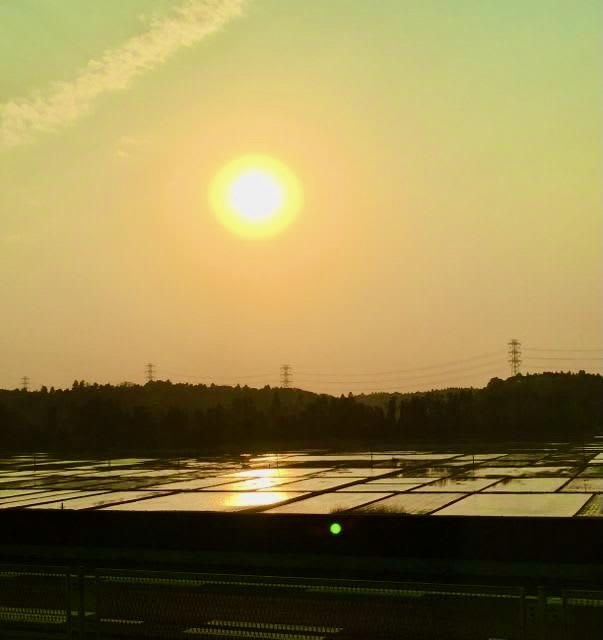 田植えは済んだのでしょうか、夕日に光る田が美しい。