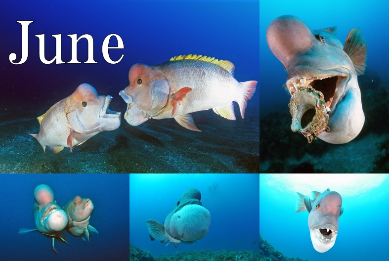 佐渡店ホーム フリーウェイ 佐渡店 新潟店