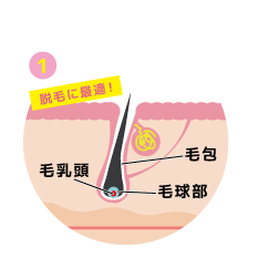 福岡　西新　メンズエクラ　メンズ脱毛のタイミング