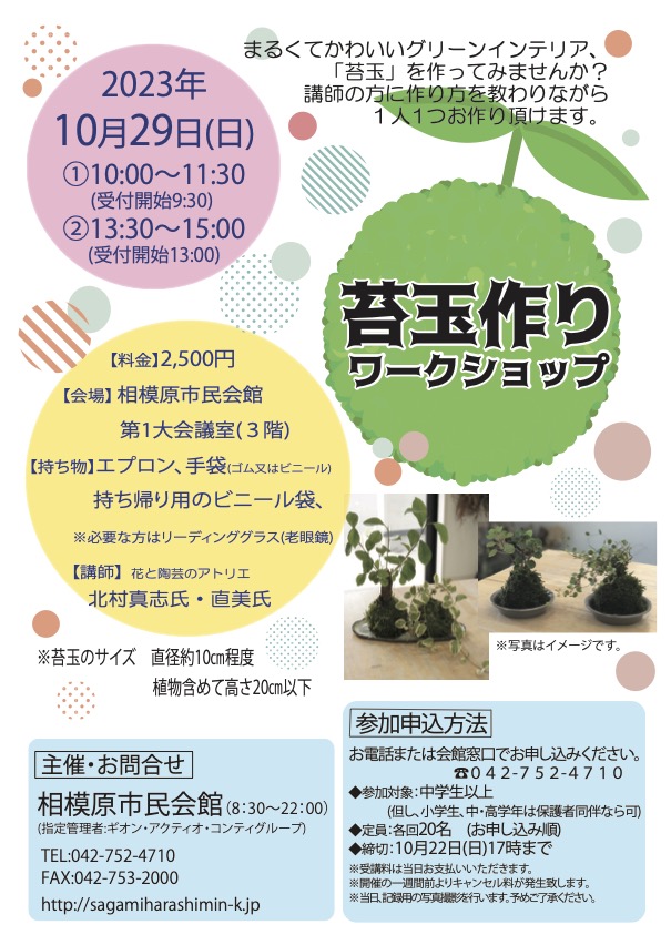 タウンニュースでの掲載。苔玉講座＠相模原市民会館