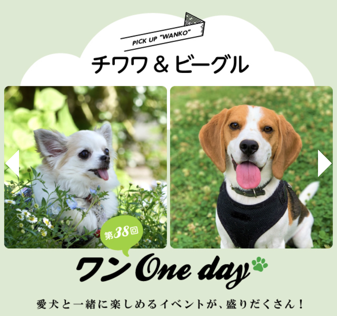 5/21は湘南T-SITE「ワンOne day !」出店します。