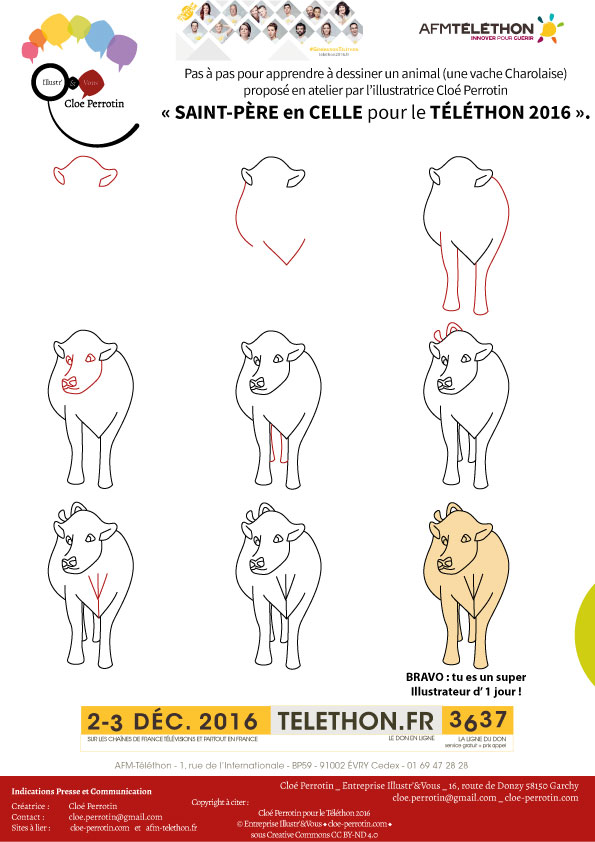 Tutoriel pour apprendre à dessiner une vache Charolaise illustré par Cloé Perrotin pour le Téléthon 2016