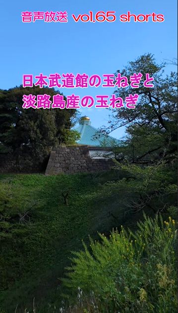 七海多文化の学校放送vol.65臨時放送 日本武道館と淡路島の玉ねぎ
