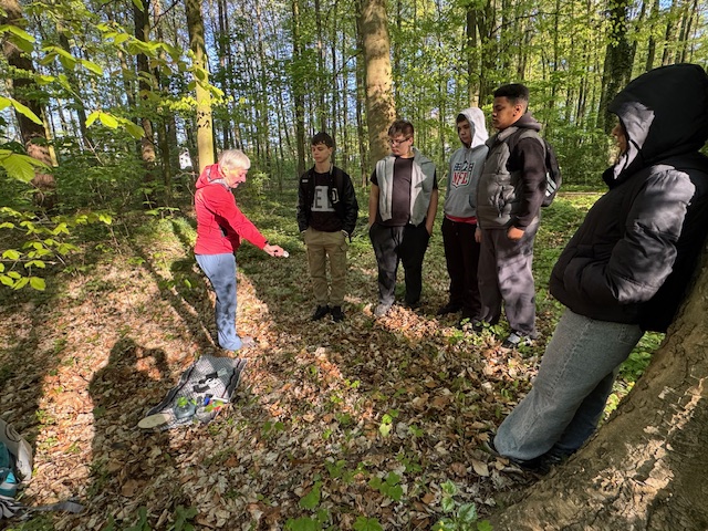 Waldführung der Klasse 7 – Lernen und Entdecken in der Natur