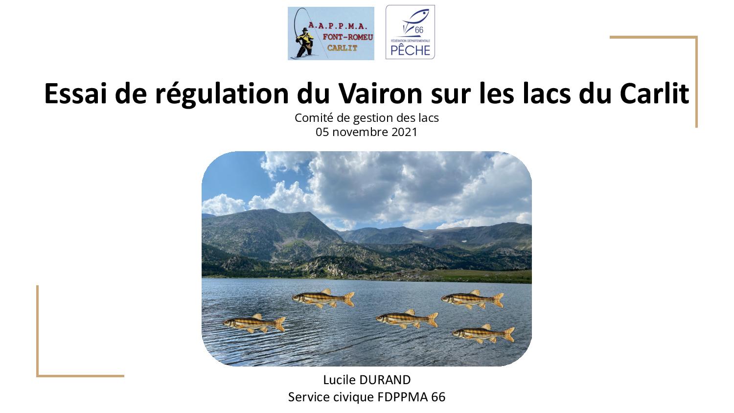 Régulation du Vairon lacs du carlit