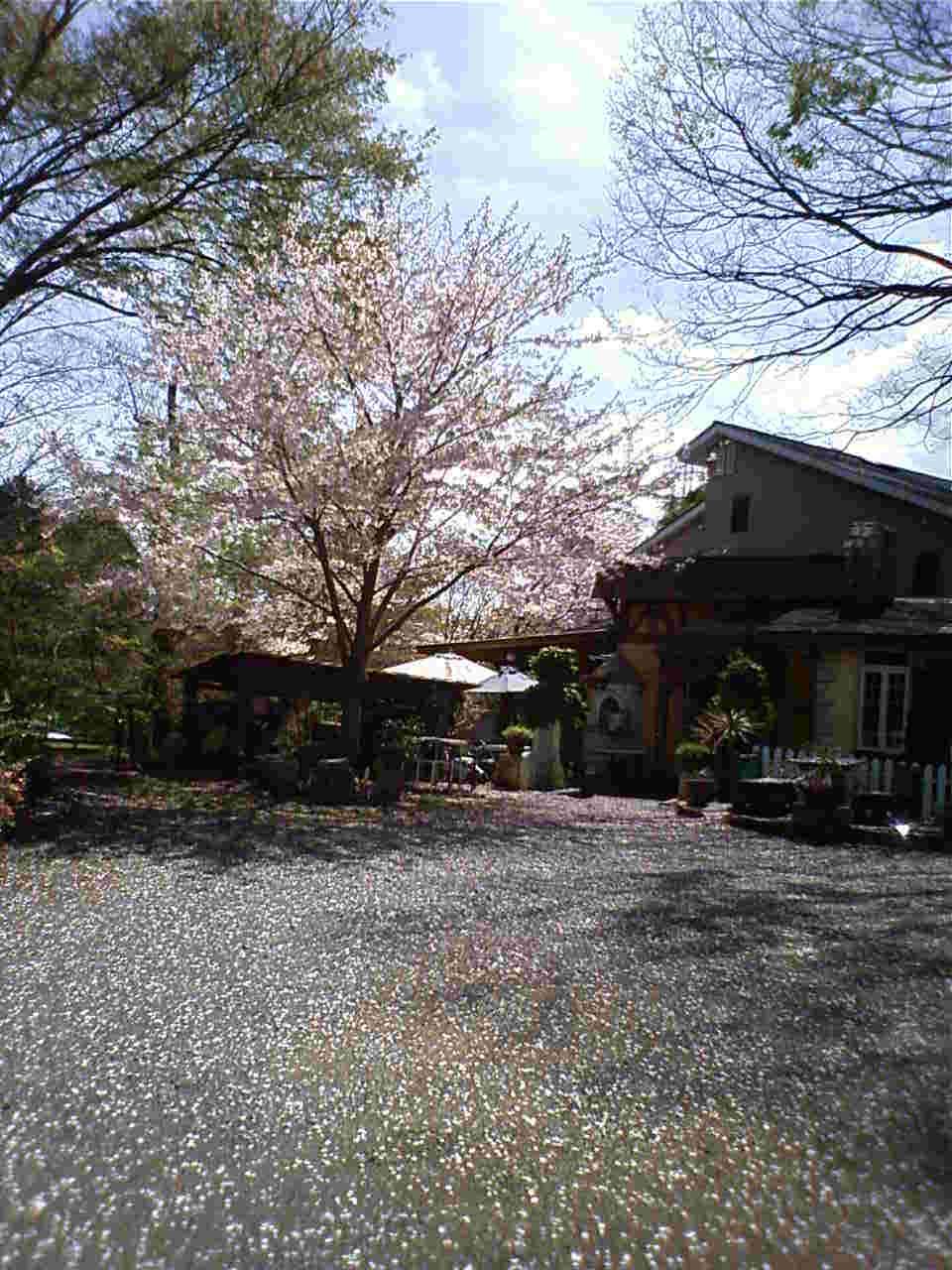 Cafe Ko Ba Kokuya ページ