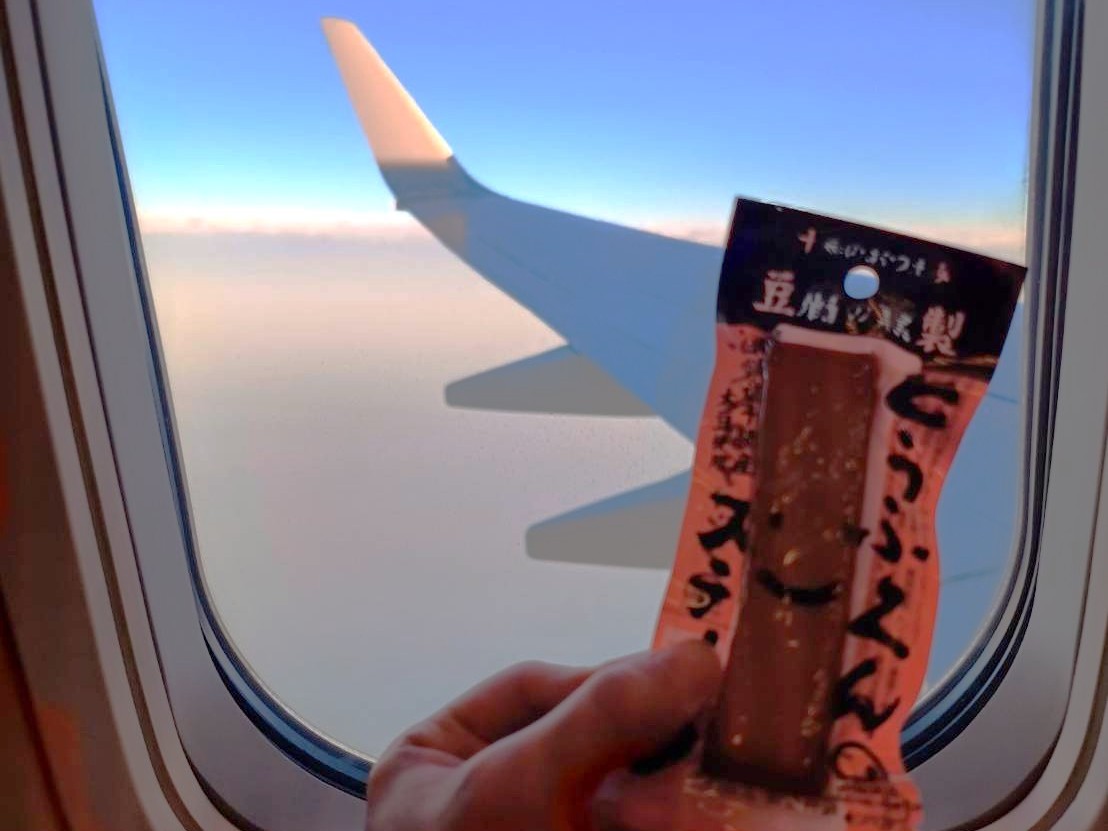 目的地までの時間もご馳走に。旅の相棒「とうふくんスティック」