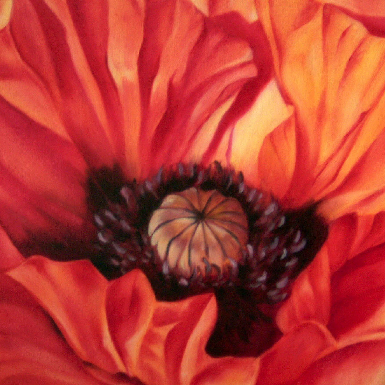 Mohn orange, 50 x 60 cm, Öl/Leinwand