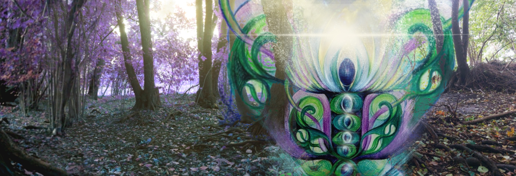 Was intuitive Kommunikation für mich bedeutet