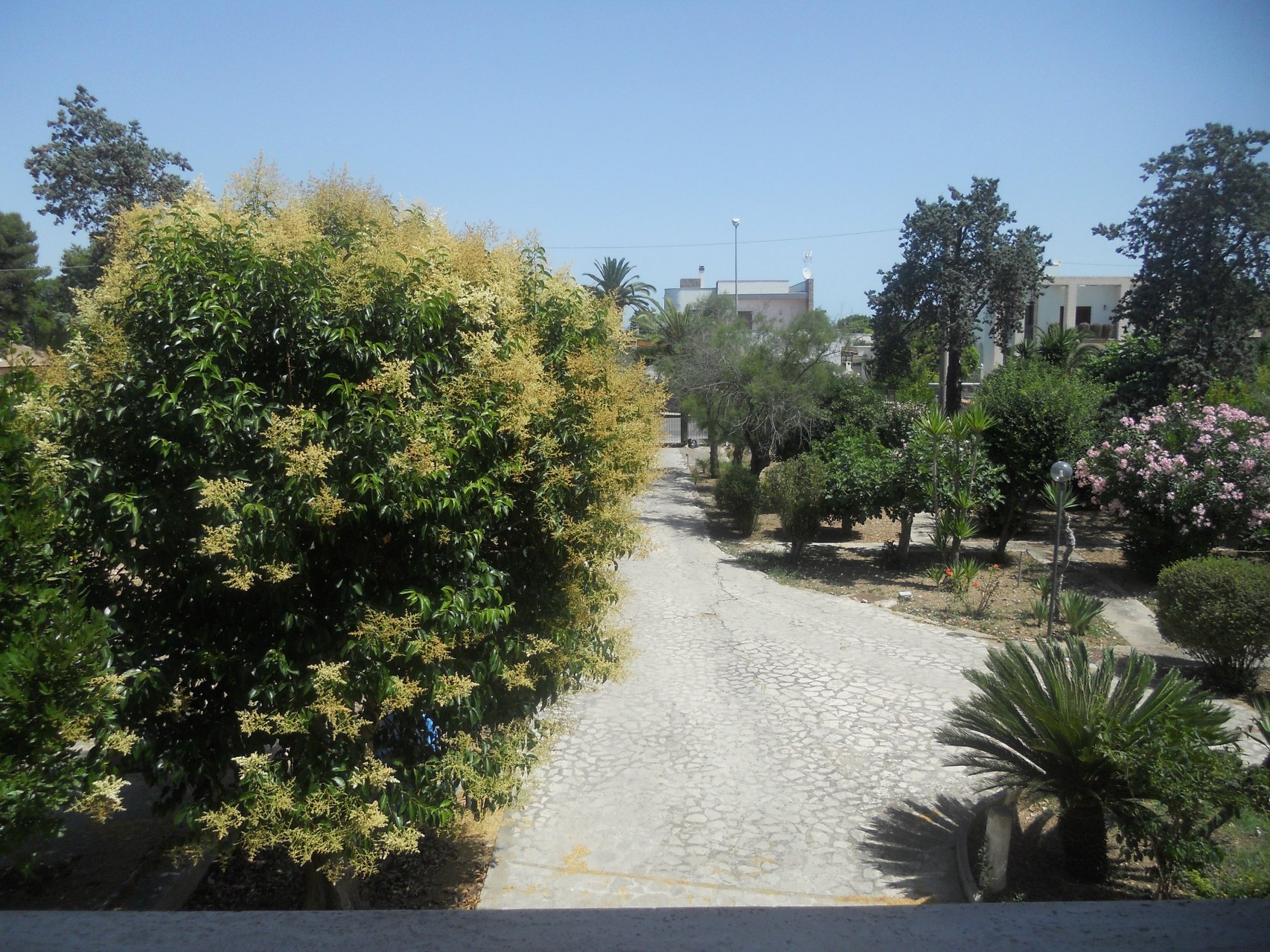 Vista dall'alto dell'entrata alla villa.