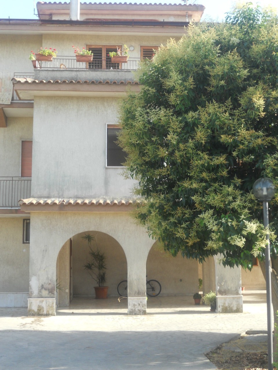 Vista del portico d'entrata.