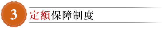 定額保証制度