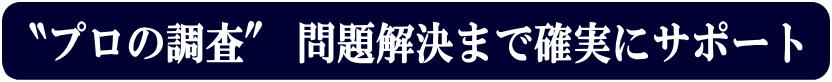プロの調査、問題解決まで確実にサポート