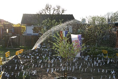 Rasen neu anlegen - GARTENWEDLERS