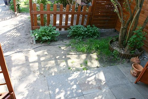 Dieser Bereich vor dem Pavillon sah zuvor etwas karg und sandig aus