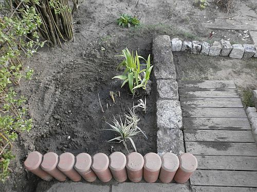 Diese Schilfsorten werden bis zu drei Metern hoch wachsen und den Sitzbereich einrahmen