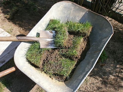 Die Grasnaben wurden sorgsam ausgestochen ...