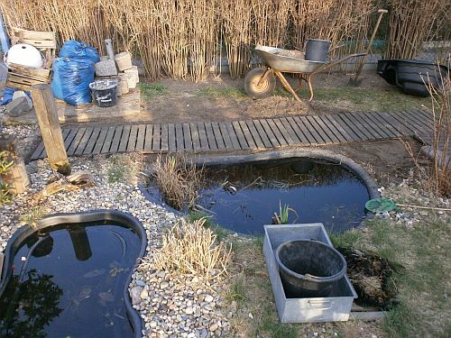 Der neue Teichbereich GARTENWEDLERS