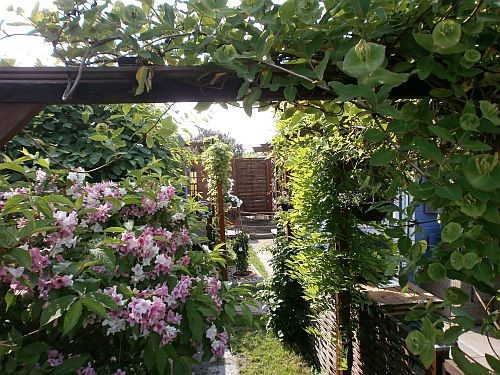 Die Sichtachse vom Garten zum Backstage Green