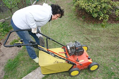 Vertikutieren Gartenwedlers