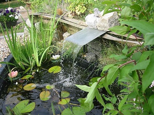 Der kleine Wasserfall bringt Sauerstoff in den Teich