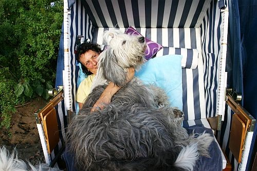 ... oder mit den Hunden ausgiebig kuscheln