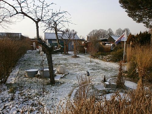 Der Garten im Februar 2012