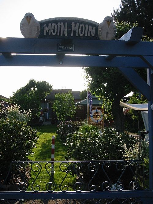 Rasen neu anlegen - GARTENWEDLERS