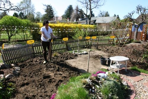 Rasen neu anlegen - GARTENWEDLERS