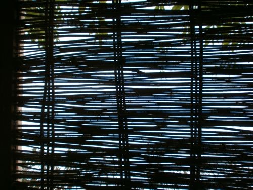 semi-permeable  (halbdurchlässig)