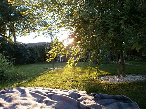 ... mit tollem idyllischen Blick in den Garten