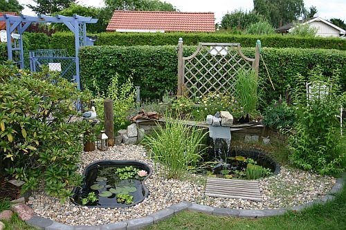 So sah der Gartenteichbereich noch im letzten Jahr aus