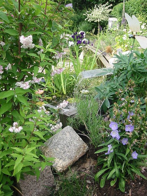 Eine Artenreiche Bepflanzung macht den Gartenteich zu einem wunderschönen Biotop