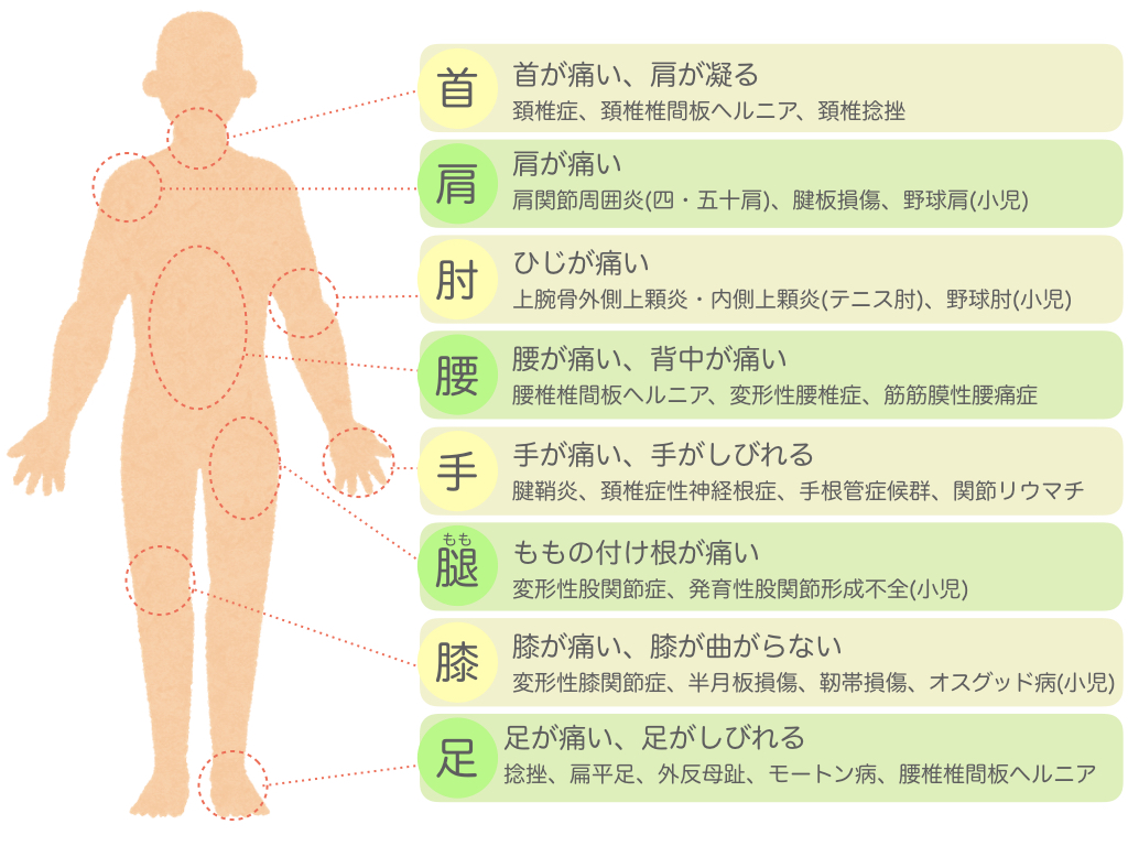 整形外科 なかじま整形外科 小児科クリニック 整形外科 なかじま整形外科 小児科クリニック