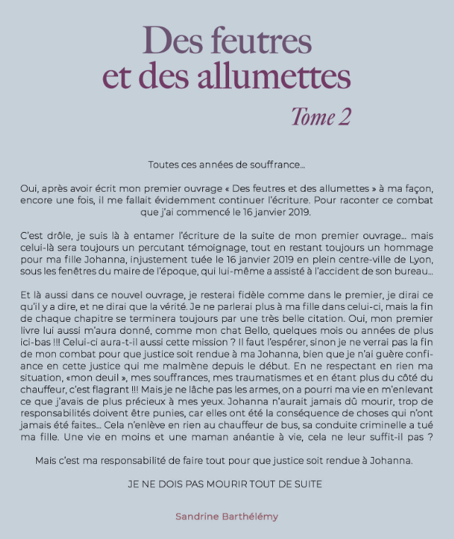 Tome-2-Des-feutres-et-des-allumettes-2025
