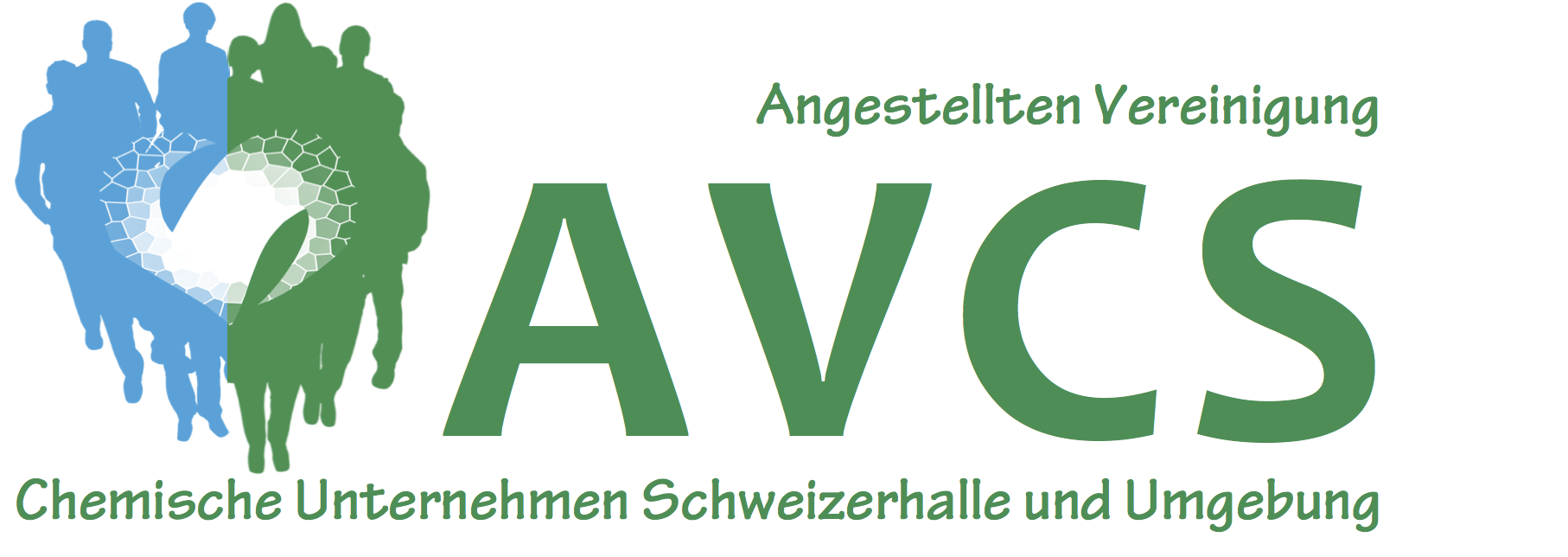 Logo der AVCS, Kunde seit über 15 Jahren, viele Texte und Prints, Webmaster Homepage 